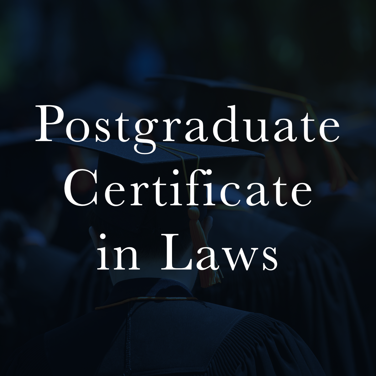 Postgraduate Certificate In Laws ILAS